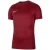 Nike Dry park vii jersey voor kinderen