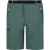 Regatta Heren xert iii stretch shorts