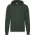 Fruit of the Loom Heren Klassieke Hoodie (Fles groen)