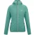 Regatta Dames/Dames Anderson Hybride Jas (Ivy Mos)