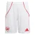 ADIDAS PERFORMANCE Sportbroek ‘FC Arsenal 25/26’  rood / wit