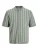 JACK & JONES Shirt  beige / groen