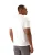 EA7 Emporio Armani Shirt  wit