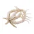 Candy Sweet Jewellery armband met zeester ecru/goudkleurig