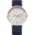 BERING Analoog horloge  navy / goud / wit