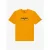 T-shirt Quiksilver EV Starting Grid