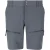 Korte Whistler Avatar
