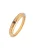 Haze&Glory Ring ‘Unity’  goud