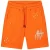 Malelions Limited Kingsday Painter Shorts | Orange/White