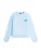 Tommy Jeans Sweatshirt  blauw / lichtblauw