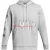 Under Armour Herenhoodie met print op de mouwen uit de Essential-collectie (Vorstgrijs)