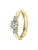 Lucardi Ring ‘Klassisch’  goud