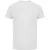 Korte Mouwen Rekbare T-shirt in Wit