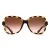 Armani Exchange AX4029S 811713 glanzend havana bruin gradiënt zonnebril