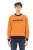 Crew Neck Sweatshirt Ba22499