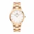 Dameshorloge Daniel Wellington Iconic Link