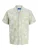 JACK & JONES Overhemd  beige / groen / wit