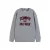 Tommy Hilfiger longsleeve met logo – grijs
