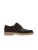 Cole Haan Veterschoen ‘AMER CL MONTROSE WNG’  bruin