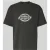 Dickies T-shirt met logoprint model ‘PLAINVILLE’