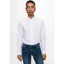 ONLY & SONS Overhemd met lange mouwen ONSCAIDEN LS SOLID LINEN SHIRT NOOS