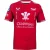 Castore Retro-rugbyshirt voor heren van Scarlets (Scarlet)