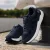 Q1905 Sneaker kampen donkerblauw/ wit