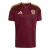 ADIDAS PERFORMANCE Tricot ‘Venezuela 26’  donkerbeige / blauw / geel / wijnrood