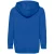 Fruit of the Loom Kinder/kids klassieke hoodie