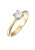 ELLI PREMIUM Ring  goud / transparant