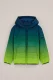 WE Fashion – Jongens gewatteerde jas met gradient – Regular fit – Felgroen –