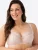 Gorsenia BH ‘K647 Alicante’  beige