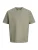 JACK & JONES Shirt ‘JJEAUSTIN’  aardetinten