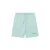 Short Nicce Garment Dye Mercury