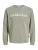 JACK & JONES Sweatshirt ‘JJDEVIN DAYTONA’  aardetinten / wit