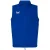 Castore Heren Rangers FC Gevoerde Paneel Gilet (Blauw/Wit)