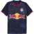 Puma Red Bull-uittenue voor heren 2025/2026 (Marine, Rood)