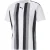 Puma Heren Team Liga Gestreept T-Shirt (Wit/Zwart)