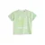 4PRESIDENT Dylan Pastel green