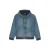 Hooded jacket Dickies Hilham