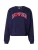 GAP Sweatshirt  navy / rood / wit