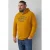 s.Oliver Big Size hoodie geel