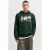 JACK & JONES ESSENTIALS regular fit hoodie met print – groen