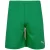 PUMA Sportbroek ‘TeamRise’  groen / wit