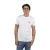 Korte mouw t-shirt met ronde hals Born To Be SPRBCA-2202 man