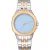 Vrouwenhorloge Dkny Brooklyn Midi