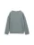 TOM TAILOR Sweatshirt  pastelgroen / zwart