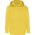 Fruit of the Loom Kinder/kids classic 260 hoodie