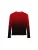Desigual Trui  rood / zwart