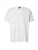 ELLESSE Shirt ‘DISTORTA’  grijs / wit